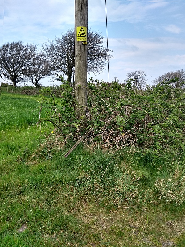 pole